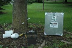 Ecoject system application to ash tree